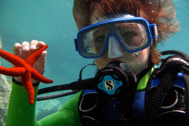 Diving in Santa Maria Beach